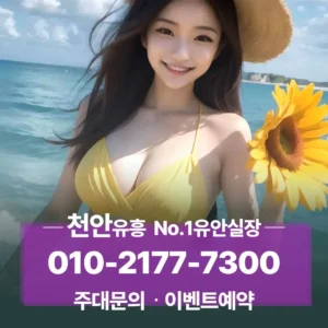 천안노래방보도